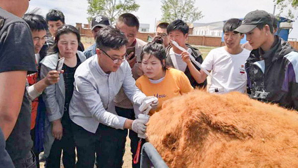 內(nèi)蒙古呼倫貝爾市貝爾蘇木畜牧獸醫(yī)站-愛牧多案例